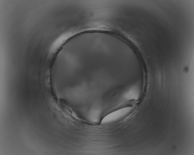 X0000116591455200912312026