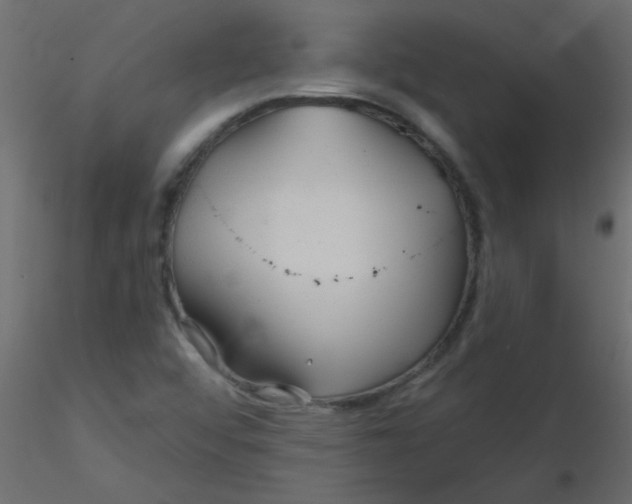 X0000116591456200912312026