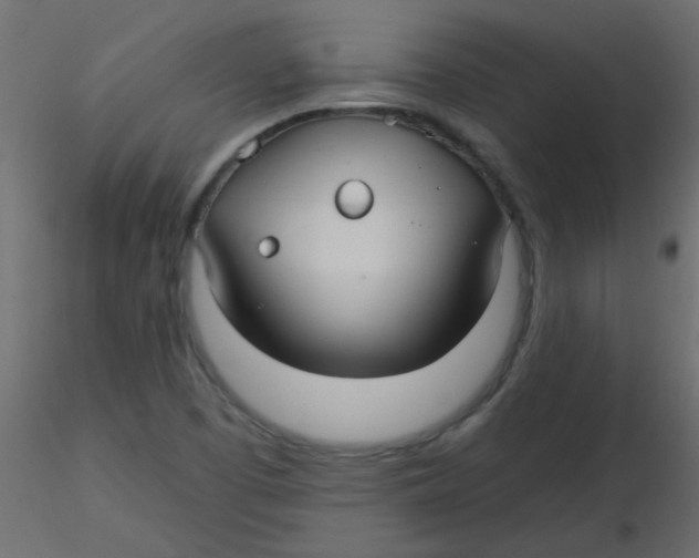 X0000116591457200912312026