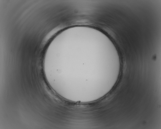 X0000116591458200912312026