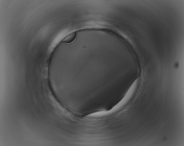 X0000116591459200912312026