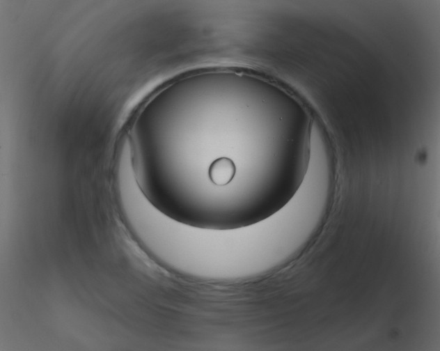 X0000116591460200912312026