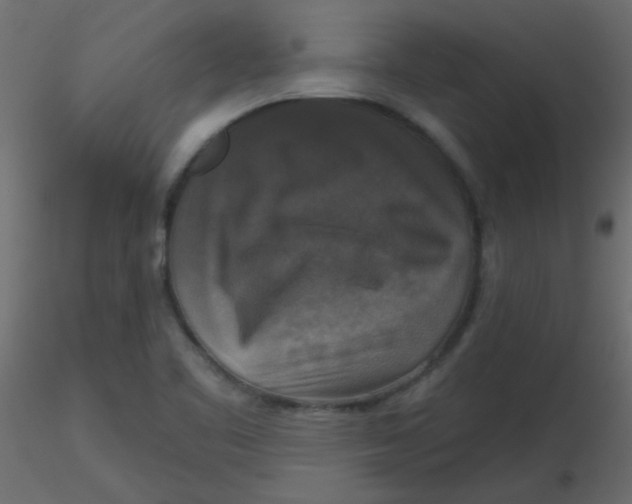 X0000116591461200912312026