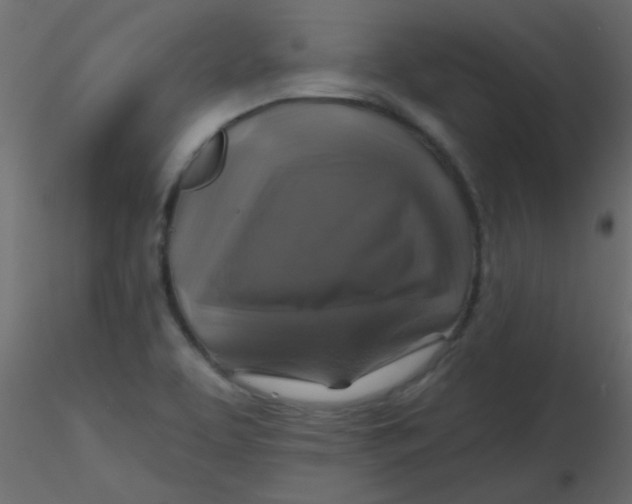 X0000116591463200912312026