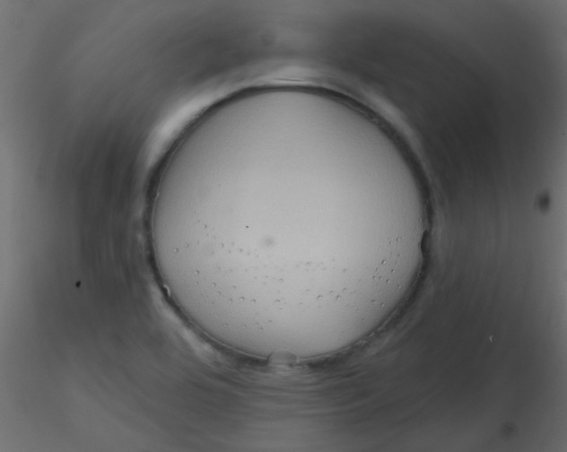 X0000116591464200912312026