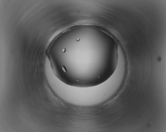 X0000116591465200912312026