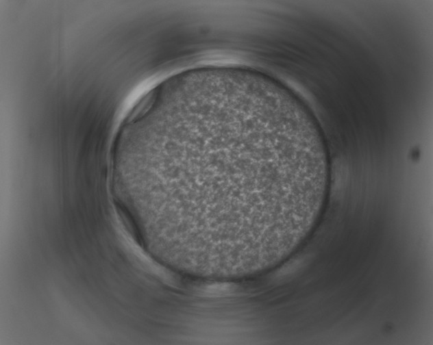 X0000116591467200912312026