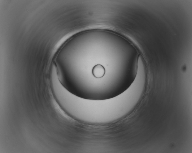 X0000116591468200912312026