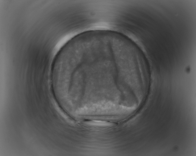 X0000116591469200912312026