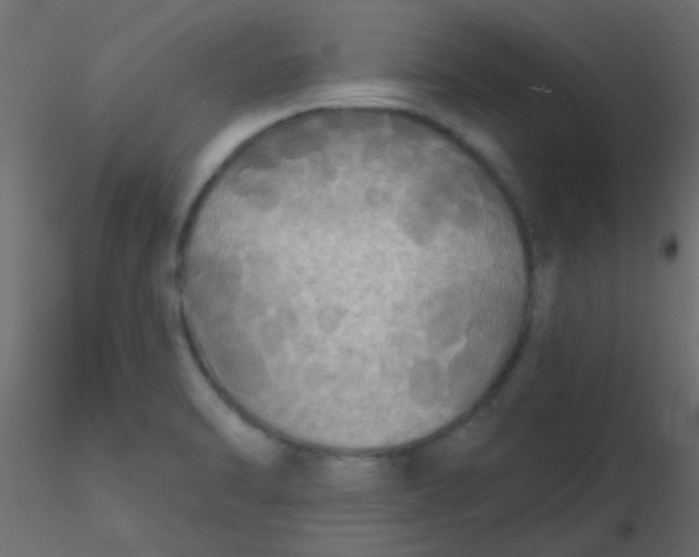 X0000116591470200912312026