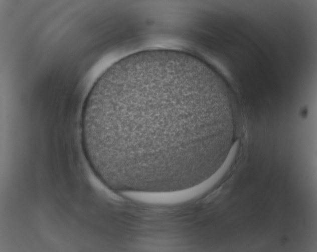 X0000116591471200912312026