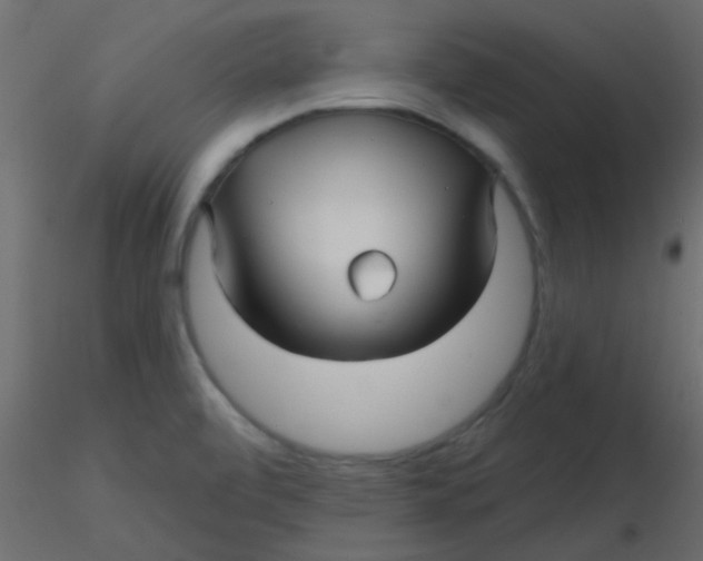 X0000116591472200912312026