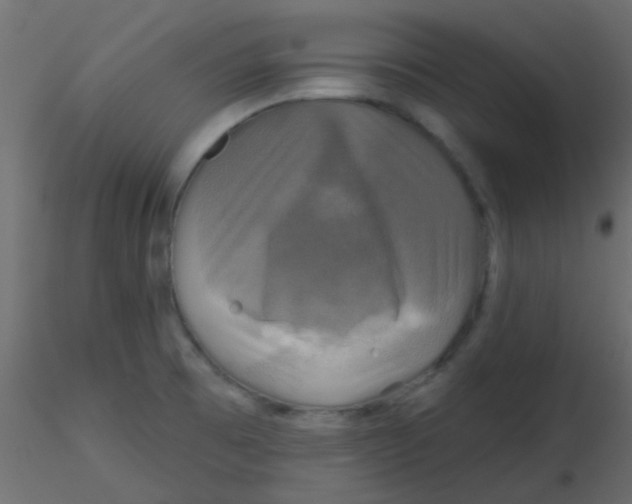 X0000116591473200912312026