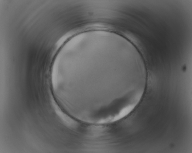 X0000116591474200912312026