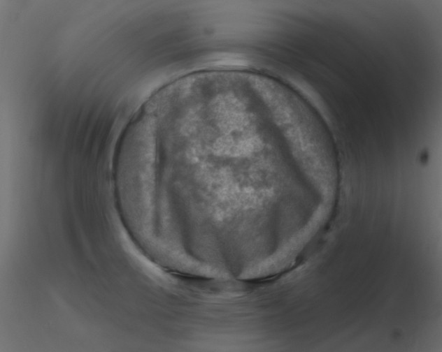 X0000116591475200912312026