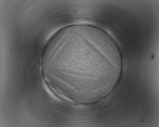 X0000116591476200912312026