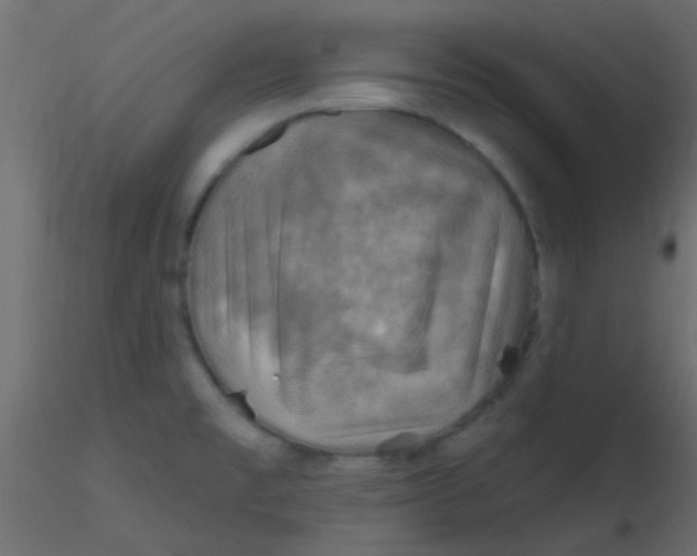 X0000116591477200912312026