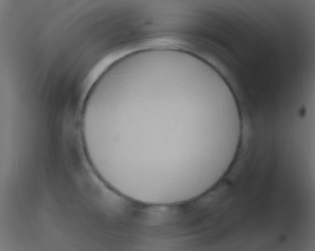 X0000116591478200912312026