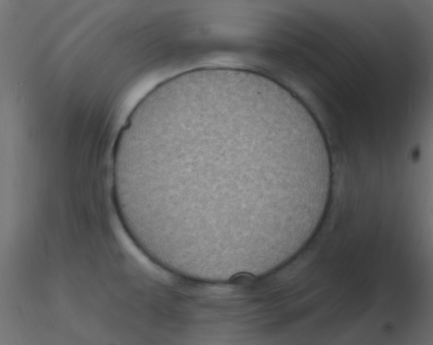 X0000116591479200912312026