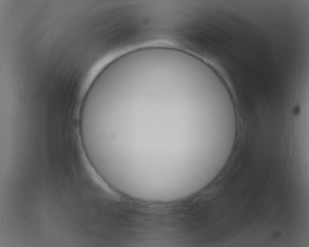 X0000116591480200912312026