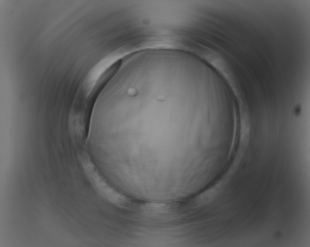 X0000116591481200912312026