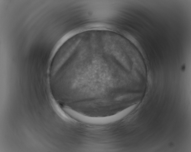 X0000116591482200912312026