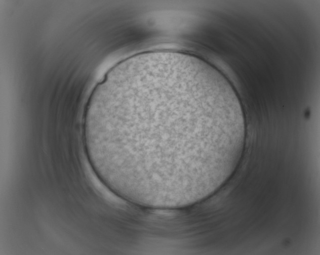 X0000116591483200912312025