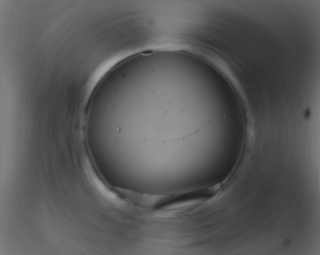 X0000116591484200912312025