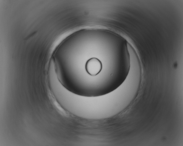 X0000116591485200912312025