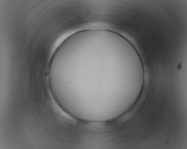 X0000116591486200912312025