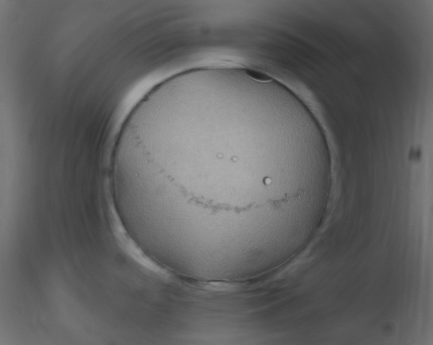 X0000116591488200912312025