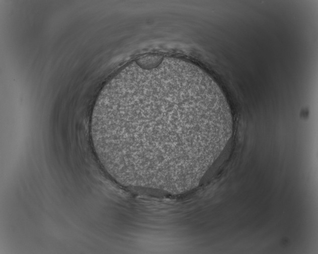 X0000116591489200912312025