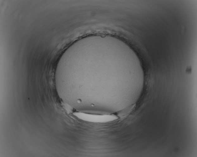 X0000116591490200912312025