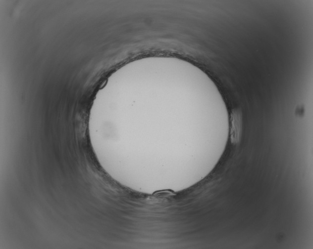 X0000116591491200912312025