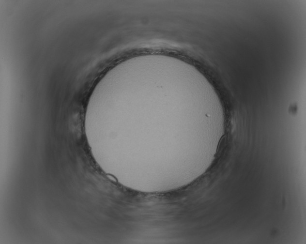 X0000116591493200912312025