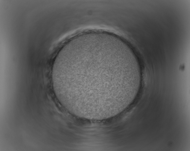 X0000116591494200912312025