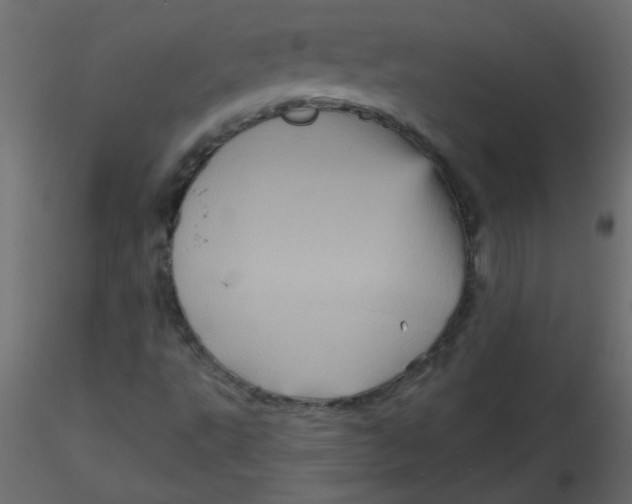 X0000116591495200912312025