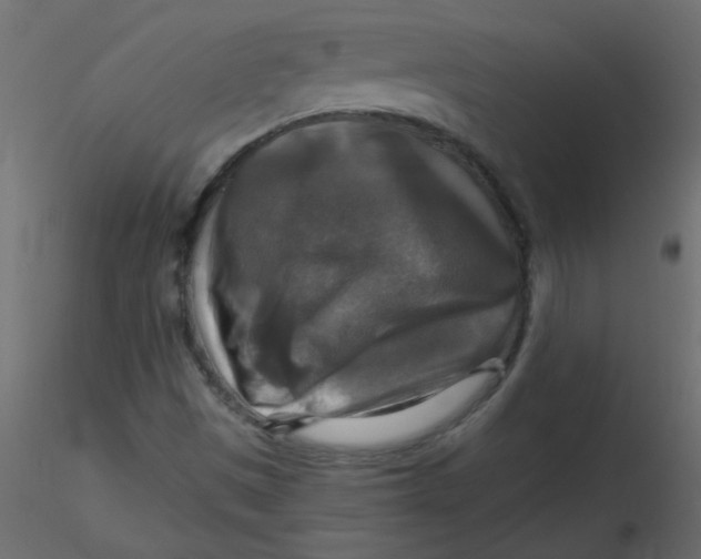 X0000116591497200912312025