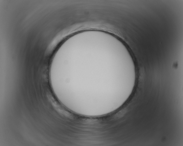 X0000116591499200912312025