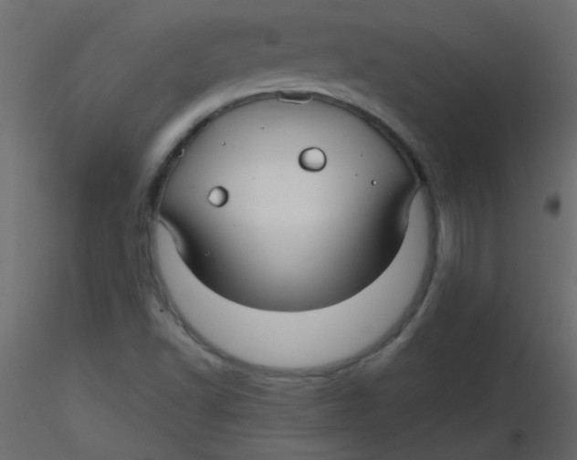 X0000116591502200912312025