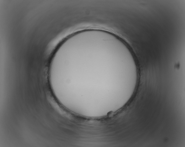 X0000116591503200912312025