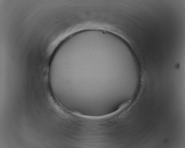 X0000116591507200912312025