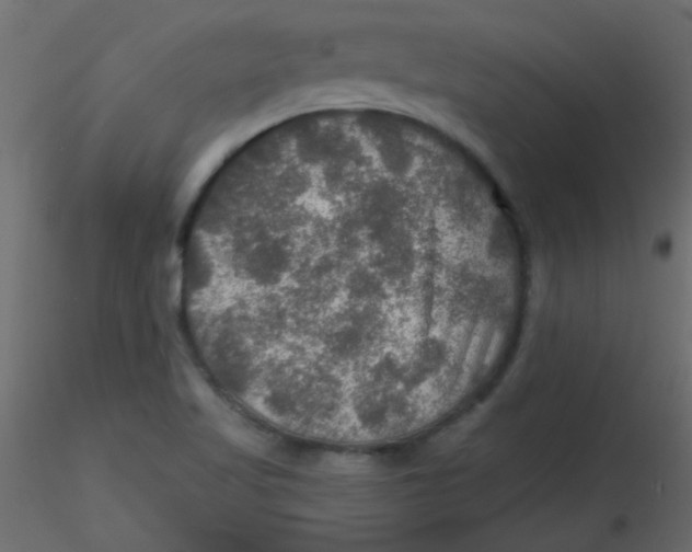 X0000116591509200912312025