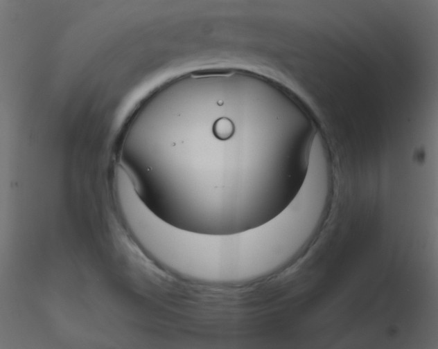 X0000116591510200912312025