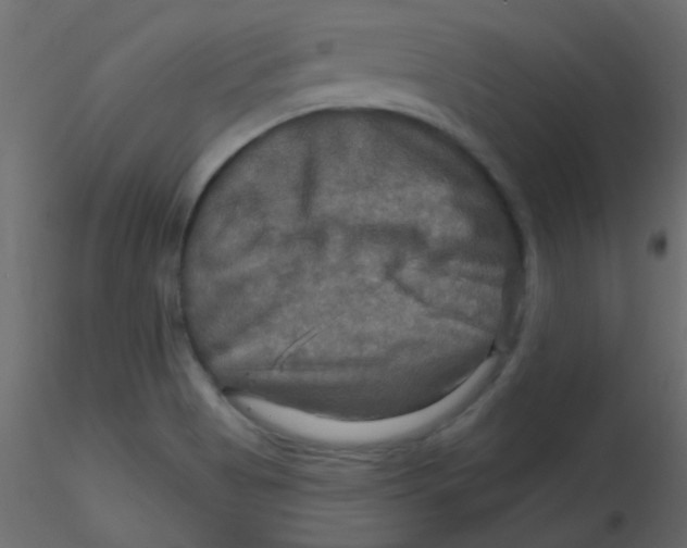 X0000116591513200912312025