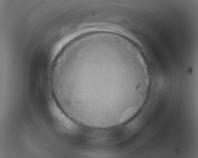 X0000116591514200912312025