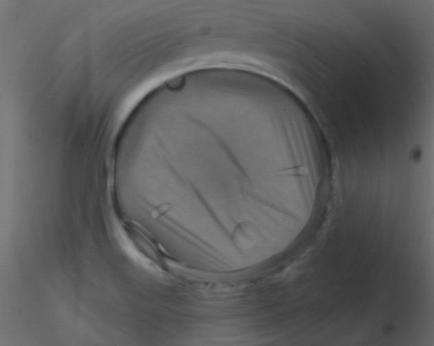 X0000116591515200912312025