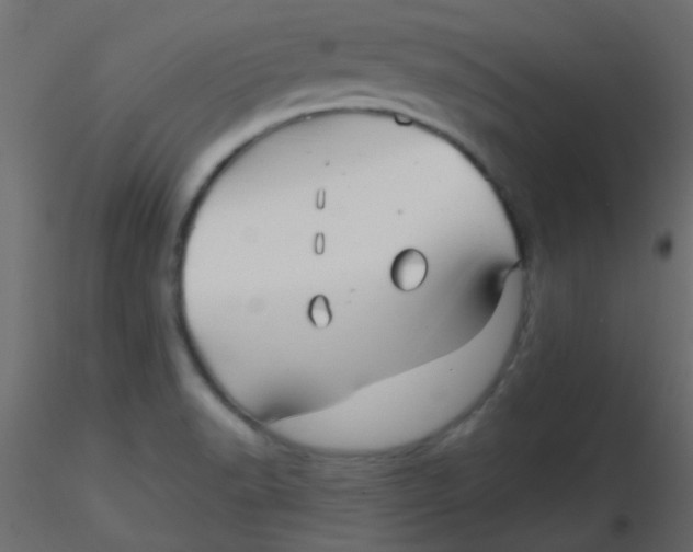 X0000116591518200912312025