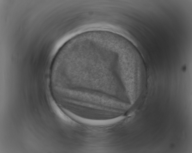 X0000116591523200912312025