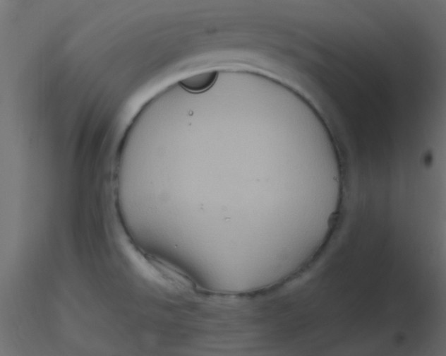 X0000116591526200912312025